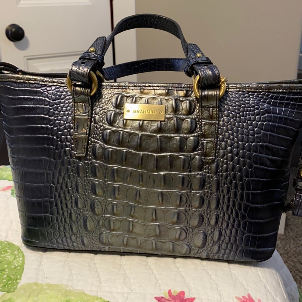 Brahmin Purse Snake